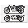 Zard Uitlaatsysteem 2-2 Short RVS | Triumph Bonneville T120»Motorlook.nl»