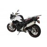 BOS silencer Oval 120S | BMW F800R/GT | Stainless Steel»Motorlook.nl»