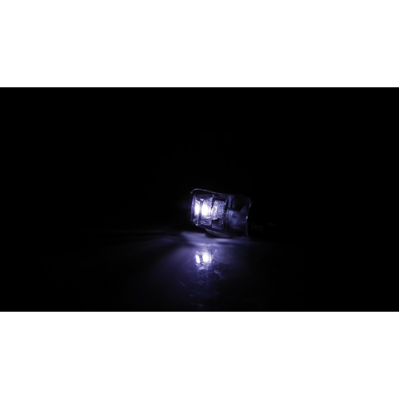 Shin-Yo Kentekenplaat-verlichting LED | Picco»Motorlook.nl»4054783033485