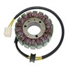 ElectroSport Stator ESG35 (for alternator)»Motorlook.nl»799804154636