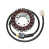 ElectroSport Stator ESG54 (for alternator)»Motorlook.nl»799804155596