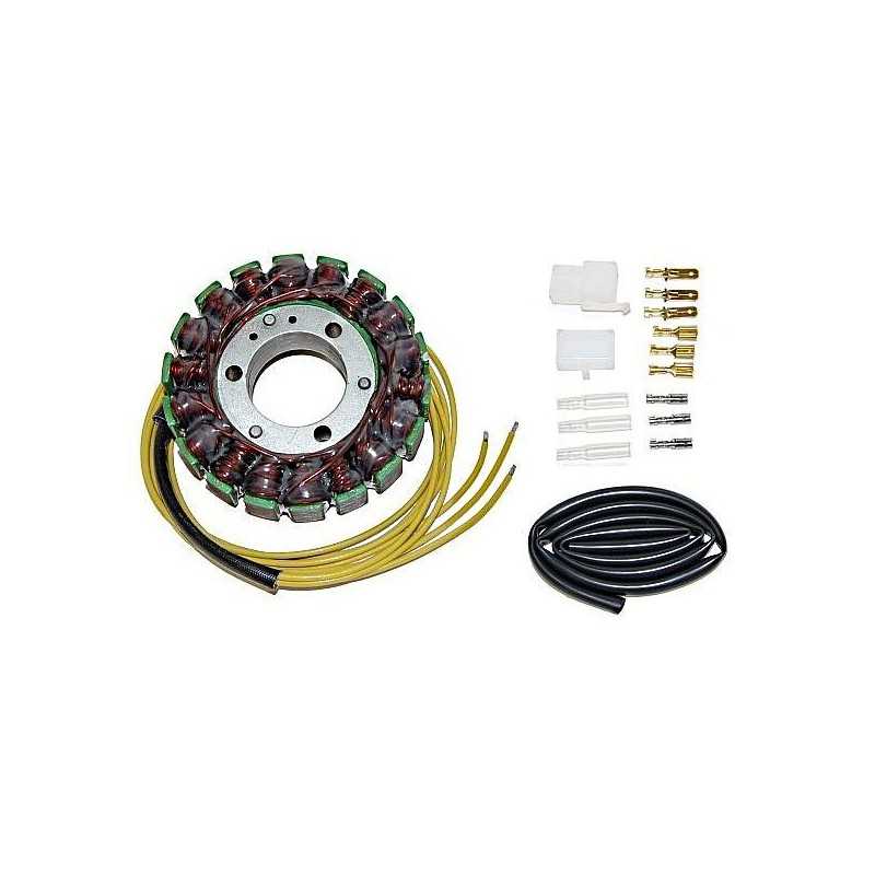 ElectroSport Stator ESG74 (voor dynamo)»Motorlook.nl»799804155930