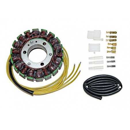 ElectroSport Stator ESG74 (voor dynamo)»Motorlook.nl»799804155930