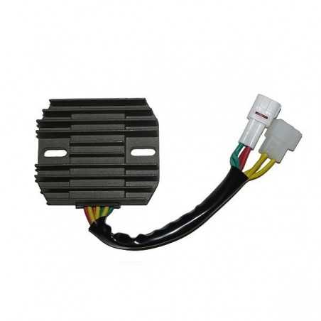 ElectroSport Charge Controller ESR 121»Motorlook.nl»799804157132