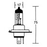 TechLine Lamp HS1 12V 35/35W PX43T»Motorlook.nl»4010356569997