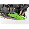 Bodystyle BellyPan | Kawasaki Z750R | groen»Motorlook.nl»4251233308388